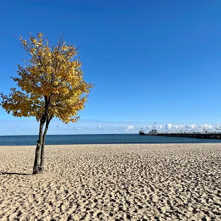 Apartment 20 M2 Centrum Parking Za Darmo *