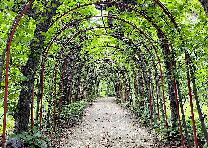 20 M2 Centrum Parking Za Darmo * Sopot