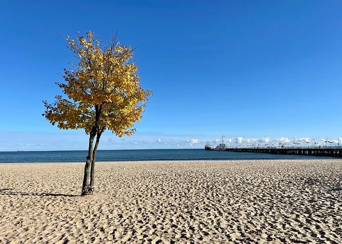 Lejlighed 20 M2 Centrum Parking Za Darmo *